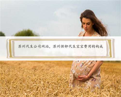 苏州代生公司网站，苏州供卵代生宝宝费用的构成